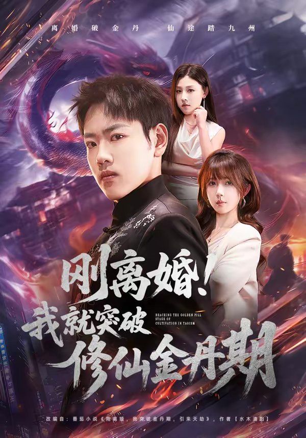 刚离婚！我就突破修仙金丹期(全集)
